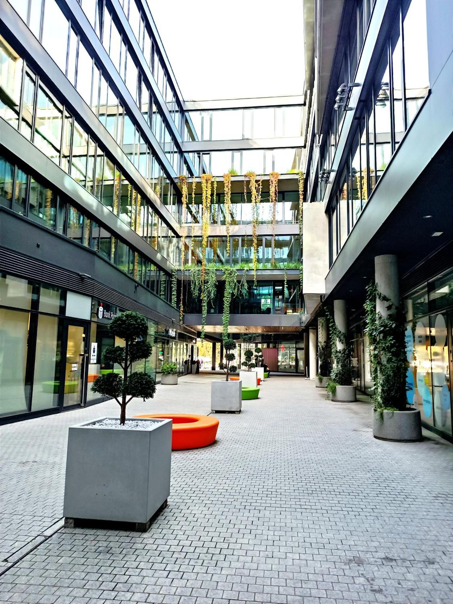 Apartament Alfahome